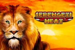 Serengeti Heat